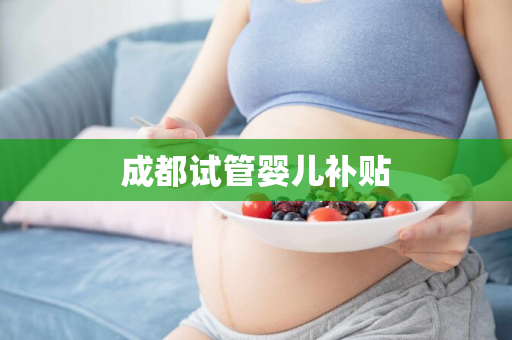 成都试管婴儿补贴