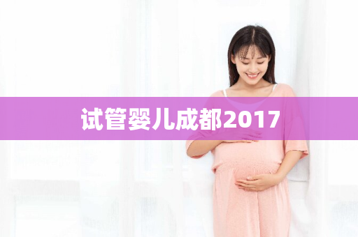 试管婴儿成都2017