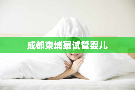 成都柬埔寨试管婴儿