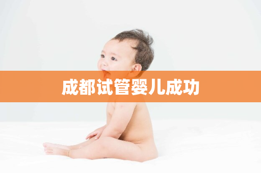 成都试管婴儿成功