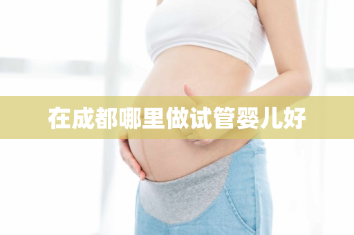 在成都哪里做试管婴儿好