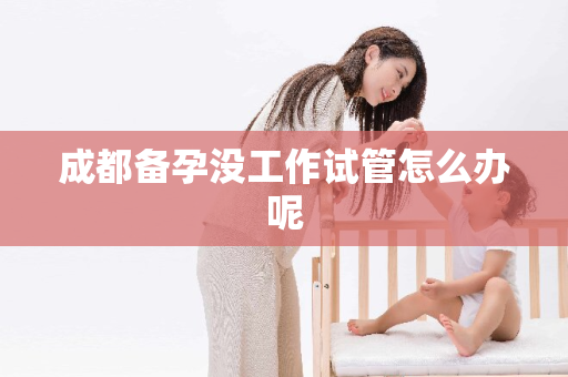 成都备孕没工作试管怎么办呢