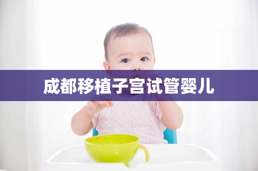 成都移植子宫试管婴儿