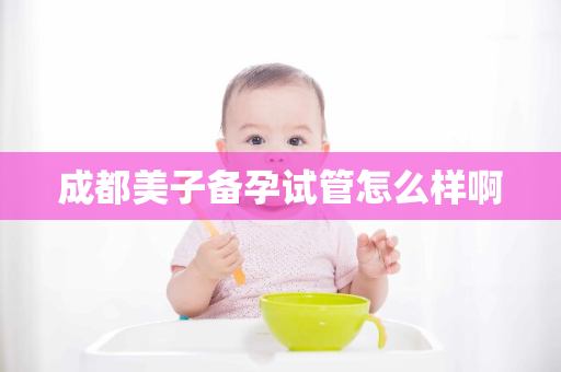 成都美子备孕试管怎么样啊