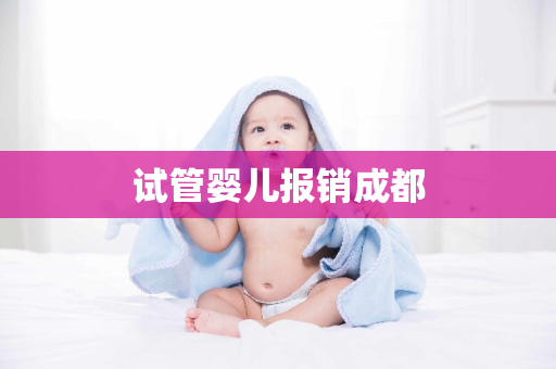 试管婴儿报销成都