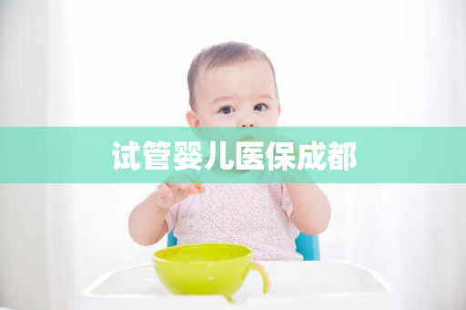 试管婴儿医保成都