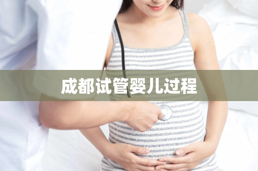 成都试管婴儿过程