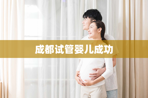 成都试管婴儿成功