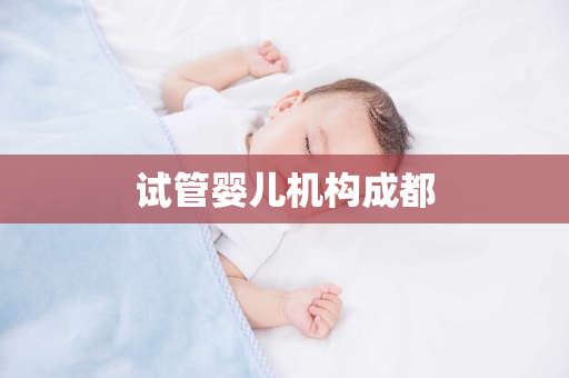 试管婴儿机构成都