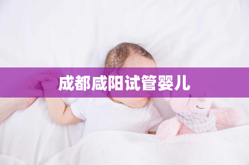 成都咸阳试管婴儿