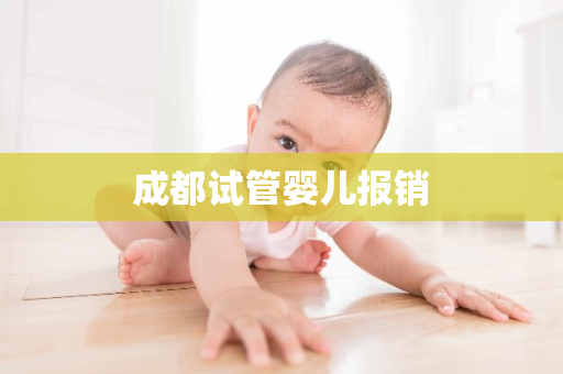 成都试管婴儿报销