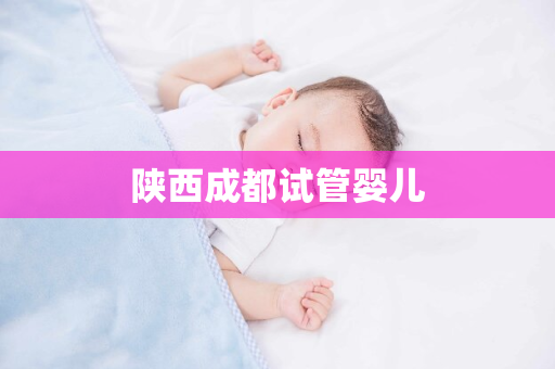 陕西成都试管婴儿