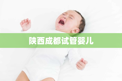 陕西成都试管婴儿