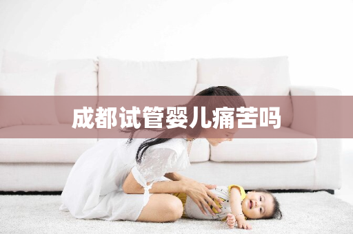 成都试管婴儿痛苦吗