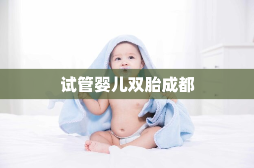 试管婴儿双胎成都