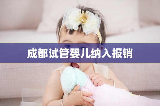 成都试管婴儿纳入报销