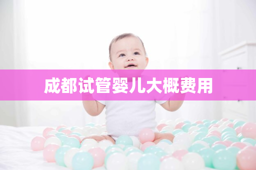 成都试管婴儿大概费用