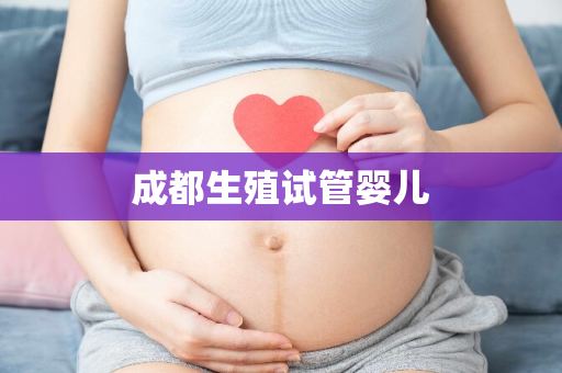 成都生殖试管婴儿