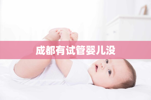 成都有试管婴儿没