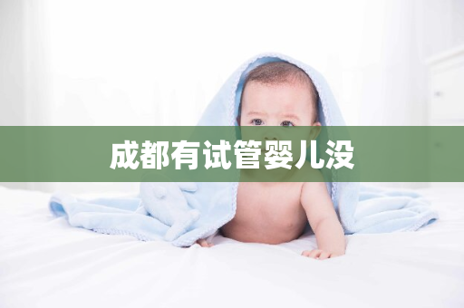 成都有试管婴儿没