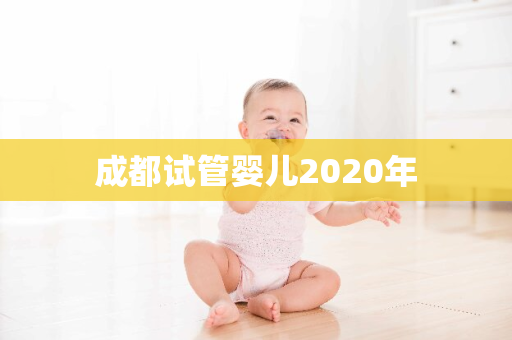 成都试管婴儿2020年