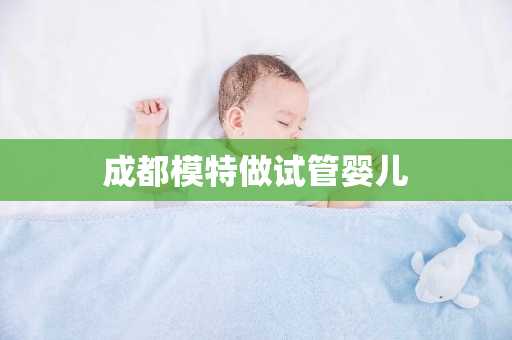 成都模特做试管婴儿