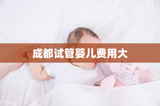 成都试管婴儿费用大