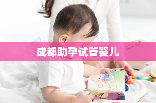 成都助孕试管婴儿