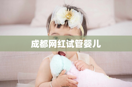 成都网红试管婴儿