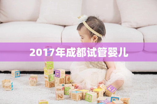 2017年成都试管婴儿