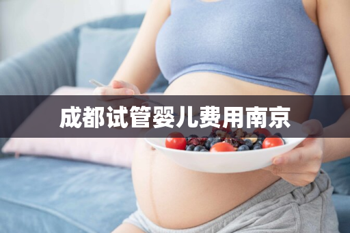 成都试管婴儿费用南京