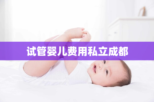 试管婴儿费用私立成都