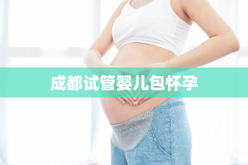 成都试管婴儿包怀孕