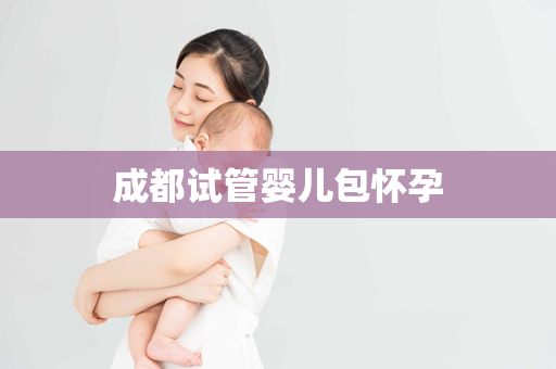 成都试管婴儿包怀孕