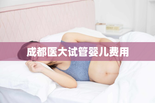 成都医大试管婴儿费用