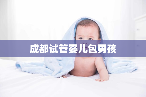 成都试管婴儿包男孩