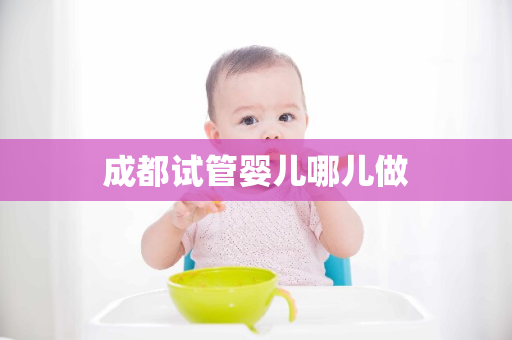 成都试管婴儿哪儿做