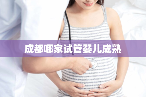 成都哪家试管婴儿成熟