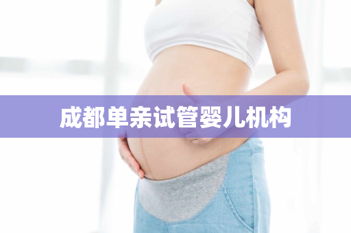 成都单亲试管婴儿机构