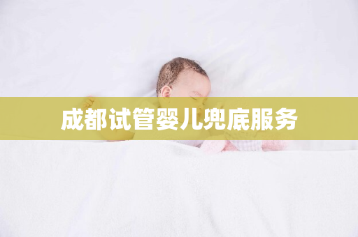 成都试管婴儿兜底服务