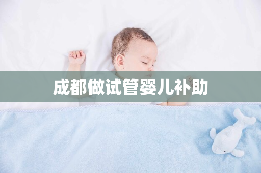 成都做试管婴儿补助