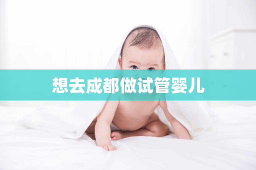 想去成都做试管婴儿