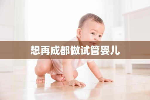 想再成都做试管婴儿