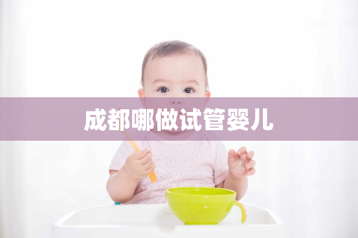 成都哪做试管婴儿