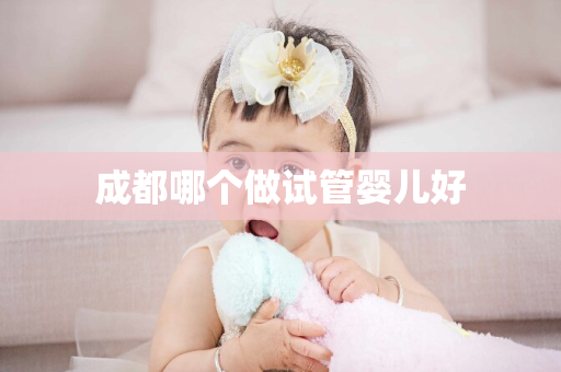 成都哪个做试管婴儿好