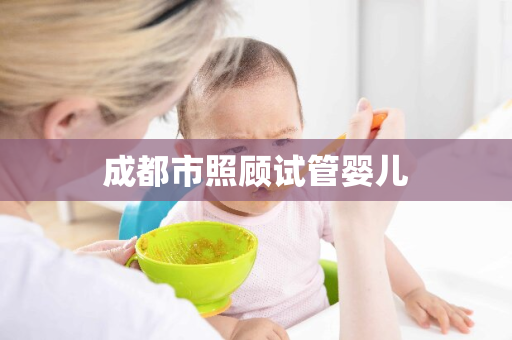 成都市照顾试管婴儿