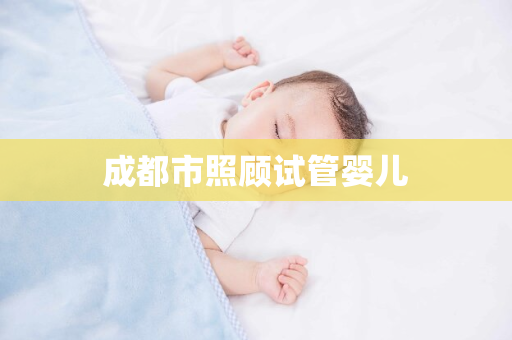 成都市照顾试管婴儿