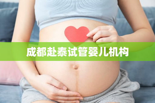 成都赴泰试管婴儿机构