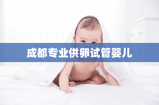 成都专业供卵试管婴儿