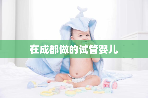 在成都做的试管婴儿